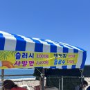 제주도 스노클링, 다이빙 포인트 추천 : 판포포구