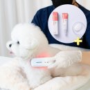 손수의과병원 | 강아지 탈모/피부병 치료에 1000만원 쓰고 알게된 줄기세포 치료 장단점!(ft. 엑소좀, 펫소좀)