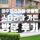 여주점 현대자동차 | 현대자동차 스타리아리무진 스타리아 가든 여주프리미엄 아울렛 방문 후기