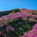 2026년5월10일(일) 봉화산(920m) /전북 장수 이미지