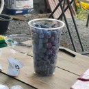 이순농장 이미지