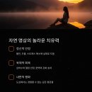명상으로 치유하는 삶 이미지