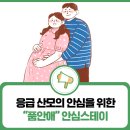 품안애 스테이 이미지