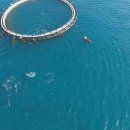 태산수산 이미지