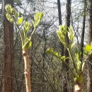 일요농장 이미지