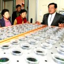 대강면경로당 이미지