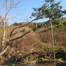 지리산농장 이미지