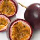 달콤농장 이미지