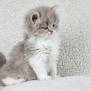 최동물병원 이미지