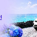 조이렌트카