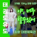 대명태권도 체육관 | 중랑구운동 : 신내동 태권도, 유도 같이 했습니다! 대명체육관 3개월 10키로 다이어트! 심박수 196bpm