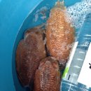 인이수산 이미지