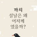 까치신발 이미지