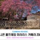 (주)코리아세븐 순천하늘점 | 홍매화가 만개한 순천여행 - 니콘 풀프레임 미러리스 Z5II와 함께하다