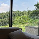 숲실의 집 이미지