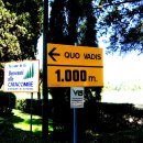 도미네로 이미지