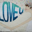 행운동주민센터 이미지