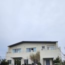 이디오랜 이미지