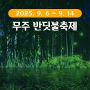 당산강변로 | 2025 무주 반딧불축제 첫날 후기 주차장 푸드트럭 음식 정보
