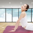 해피애견 이미지