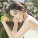 네이처스튜디오 이미지