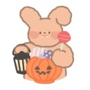 수리브라운 이미지