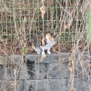 요섭농장 이미지