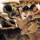 신라종합정비 이미지