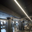 백프로짐 하대원점 이미지