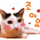 목동농장 이미지