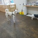 멍스테이션 이미지