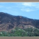 산에산에 이미지