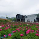 제이제이갤러리카페펜션 이미지