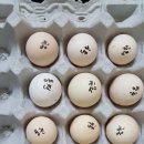 동천홍 - 천안시 동남구 청수6로 35-80 | 동천홍