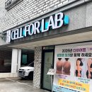 셀포랩포레 | 대전 도안동 셀포랩 포레 여름준비 온열관리 다이어트 인바디 후기