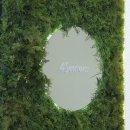 사계절약국 이미지