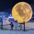 아름 효 태권스쿨 | 세종축제 : 세종시 아름동 축제, 달빛축제