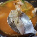 생태한마리 이미지