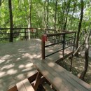 거제자연휴양림 이미지