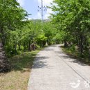 천관산 문학공원 네이버블로그