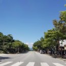 일헌농원 네이버블로그