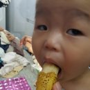 519비어 이미지