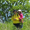 비안도보건진료소 이미지