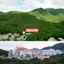 엘앤더슨병원 | 엘앤더슨병원 중앙공원 편백숲 숲치료 암환자 후기
