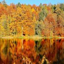 수여성병원 이미지