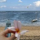 아나약국 | 발리 알러지 물갈이 두드러기 증상과 현지 약국 약 후기