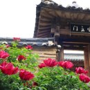 도동서원 이미지