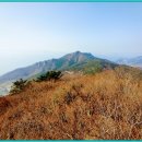 남해-245 이미지