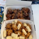 도그파파안 이미지