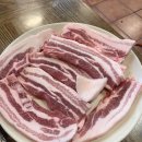 돼지들의이야기 이미지